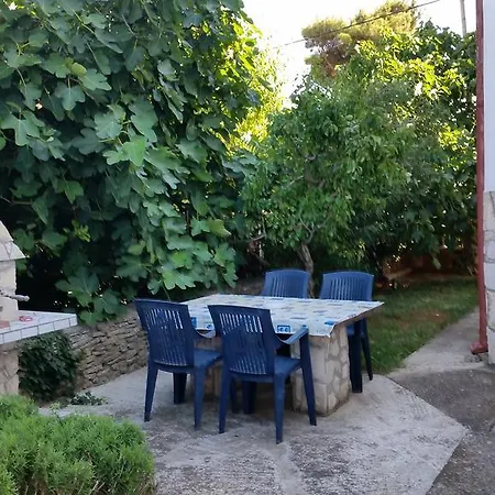 Vera